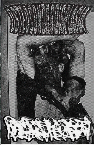 Osteocondrodisplasia : Osteocondrodisplasia - Hydrocephalus